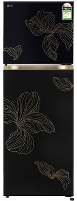 LG 251 L 1 Star Frost Free Double Door Refrigerator refrigerator by LG — product image showing the cabinet, doors and handle